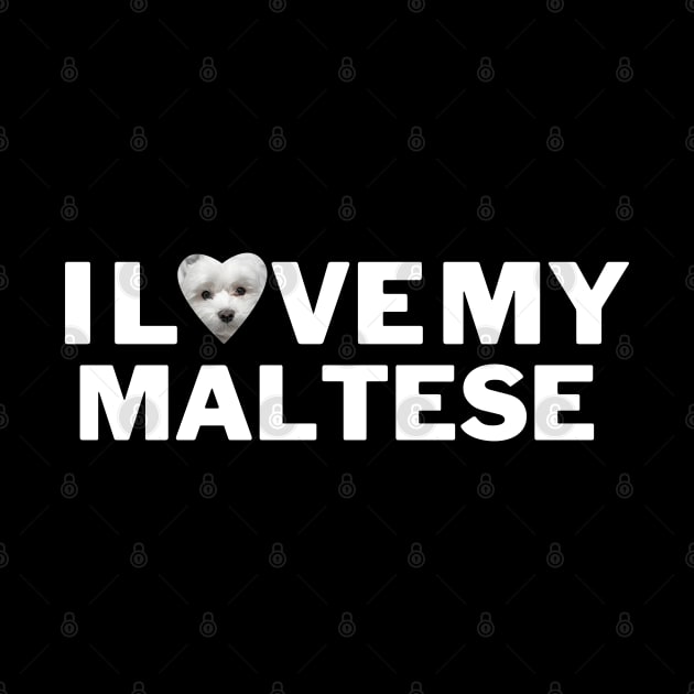 I love my maltese by Juliet & Gin