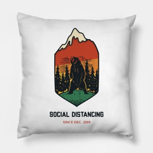 Distanced Bear Pillow