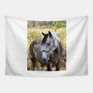 Drum horse Tapestry