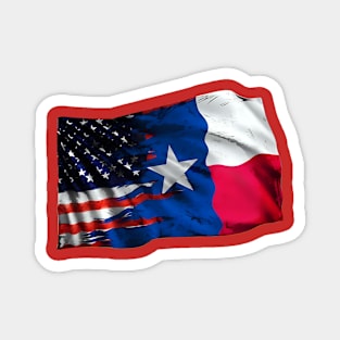 Texas State Flag Magnet