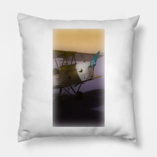 Tiger Moth Pillow