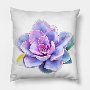 Succulent - Pastel Beauty Pillow