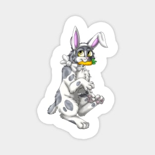 Bobtail BunnyCat: Grey Bicolor (White) Magnet