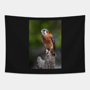 American Kestrel Tapestry