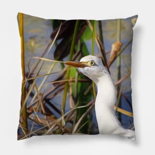 Curious Egret Pillow