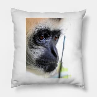 White Cheeked Gibbon Pillow