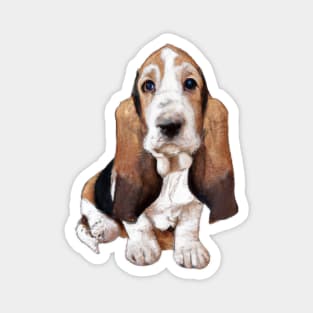 Cute Basset Hound Drawing Magnet