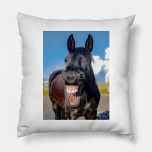 Funny Horse Pillow