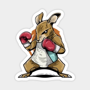 Cute Kangaroo Jab  With Small Body And Fight Magnet