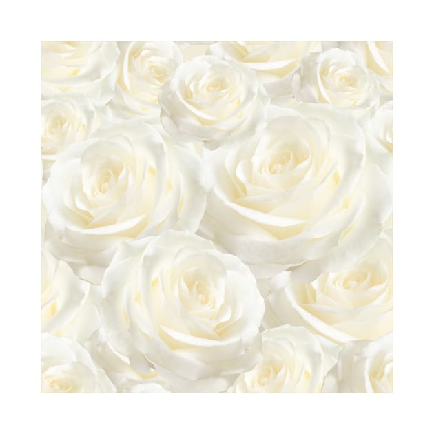 Ivory Roses by NewburyBoutique