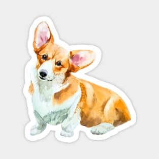 corgi pembroke Magnet