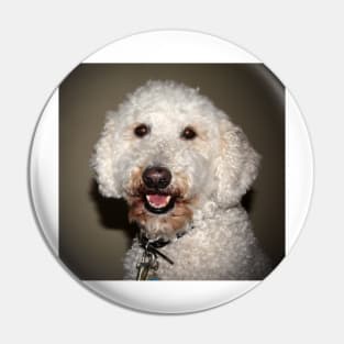 Jake The Labradoodle Pin