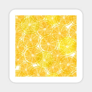 Orange transparent slices. Summer tropical translucent citrus fruits. Magnet