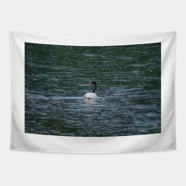 bbs Swan River Tapestry by pcfyi