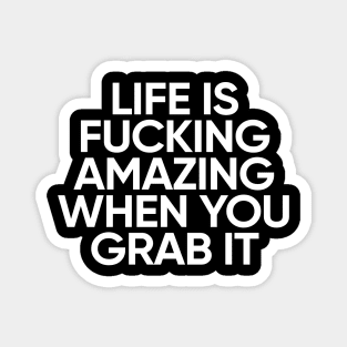 Life Is Fucking Amazing When You Grab It Magnet