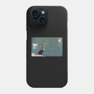 Double crested cormorant. Phone Case