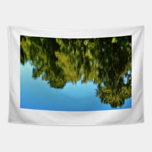 Reflections Of Nature Tapestry