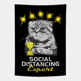 Cats Are Social Distancing Experts Tapestry