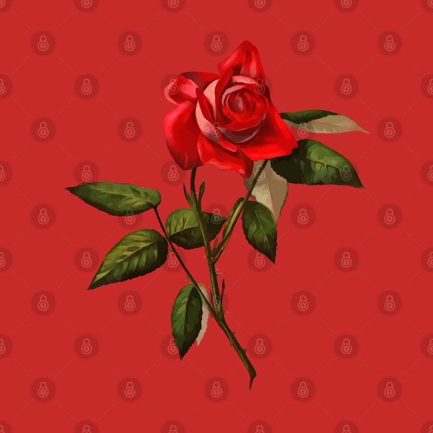 Single Stem Red Rose Isolated Vector Art by taiche