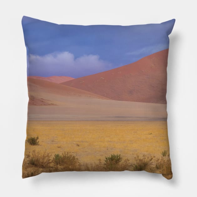 Namibia. Namib-Naukluft National Park. Dunes. Pillow by vadim19