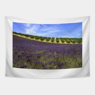 Lavander in Provence Tapestry