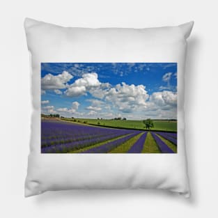 Lavender Field Purple Flowers Cotswolds England Pillow