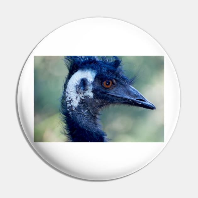 Emu Eye Pin by GP1746