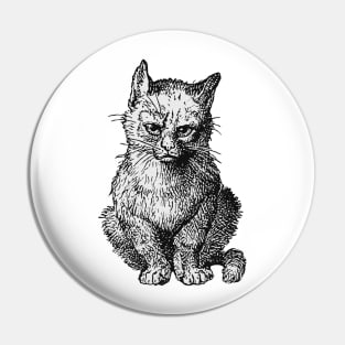 Little Kitten Pin