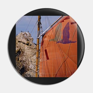 Sailing and birds Pin