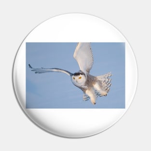 Snowy Owl in flight Pin