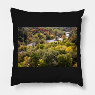 Autumnic Pillow