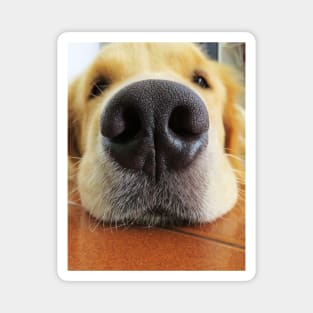 I Love My Golden Retriever! Magnet