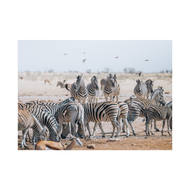 Safari Zebras by withluke