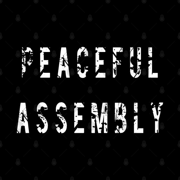 Peaceful Assembly by NovaOven