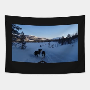 Dog sledging - Huski Adventure Tapestry