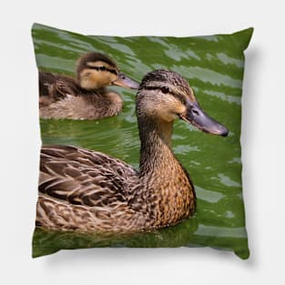 Mother Mallard Duck With Its Baby Pillow