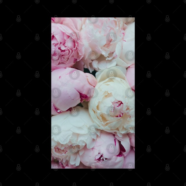 Pink and White Peonies by Tingsy