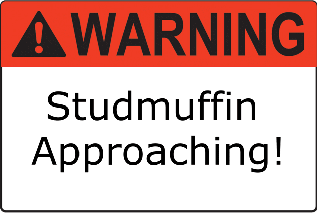 Warning Studmuffin Kids T-Shirt by Kleiertees