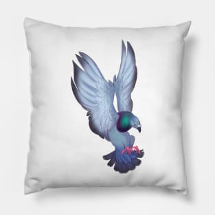 Rock pigeon Pillow