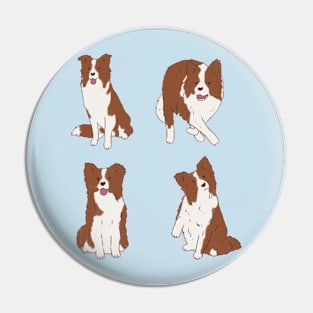 Brown border collie pack Pin