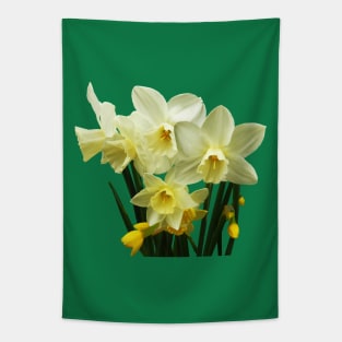 Daffodils - Daffodils and Buds Tapestry