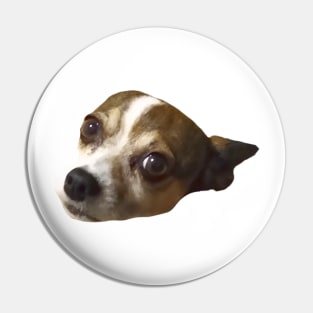 Chihuahua Head (she loves cheese) good dog for pets Pin