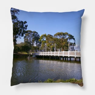 Lake El Estero Pillow