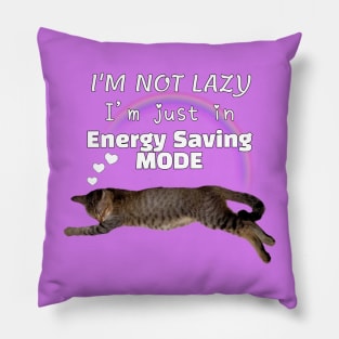 I'm Not Lazy I'm Just In Energy Saving Mode Rainbow Sleeping Cat Lover Pillow