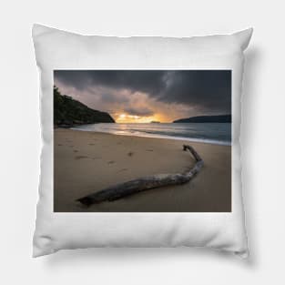 Driftwood Pillow