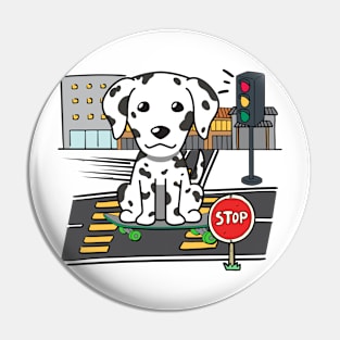 Funny dalmatian is on a skateboard Pin