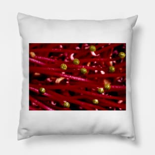 Grevillea stamens Pillow