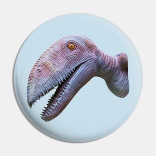 A flying dinosaur called Dimorphodon Pin