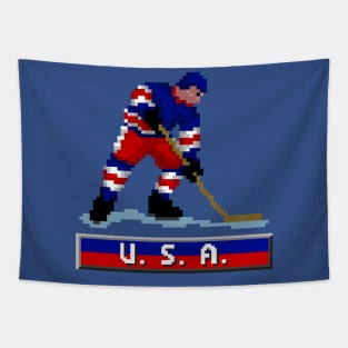 Team U.S.A. Hockey Tapestry