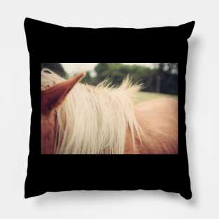 Windswept Mane Pillow